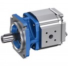 REXROTH PGF2-2X/008RJ01VU2 R900953363